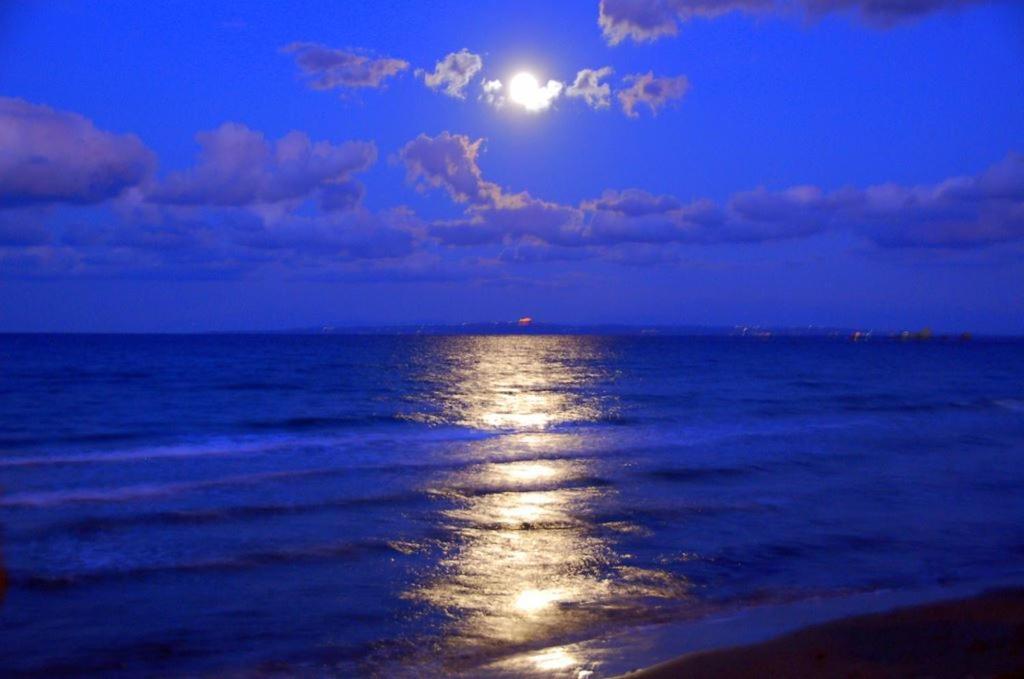 Corali Beach Tsilivi  Dış mekan fotoğraf